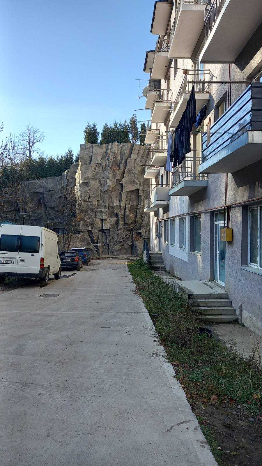 3 Room Flat For Rent. Abastumani view 11