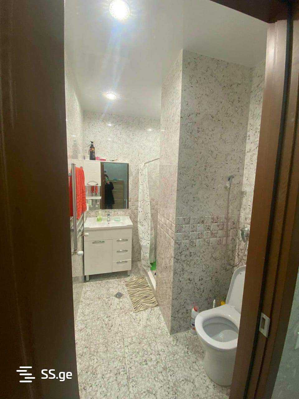 2 Room Flat For Rent. Nadzaladevi view 2