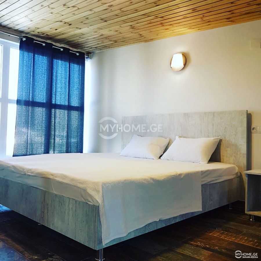 8 Room Private House Daily Rent. Bazaleti view 6