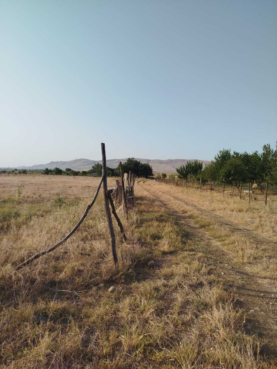 Land For Sale. Krtsanisi view 10