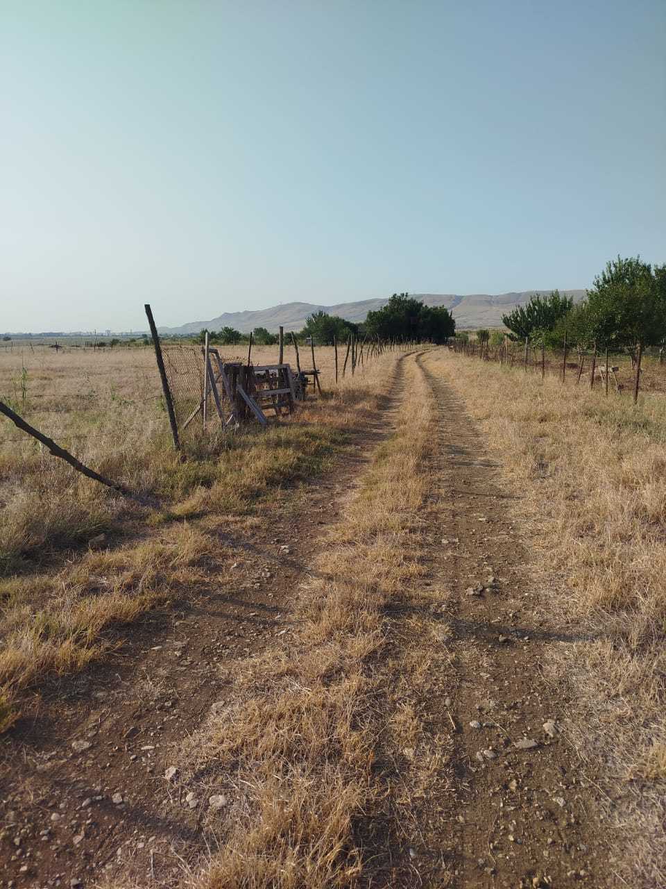 Land For Sale. Krtsanisi view 11