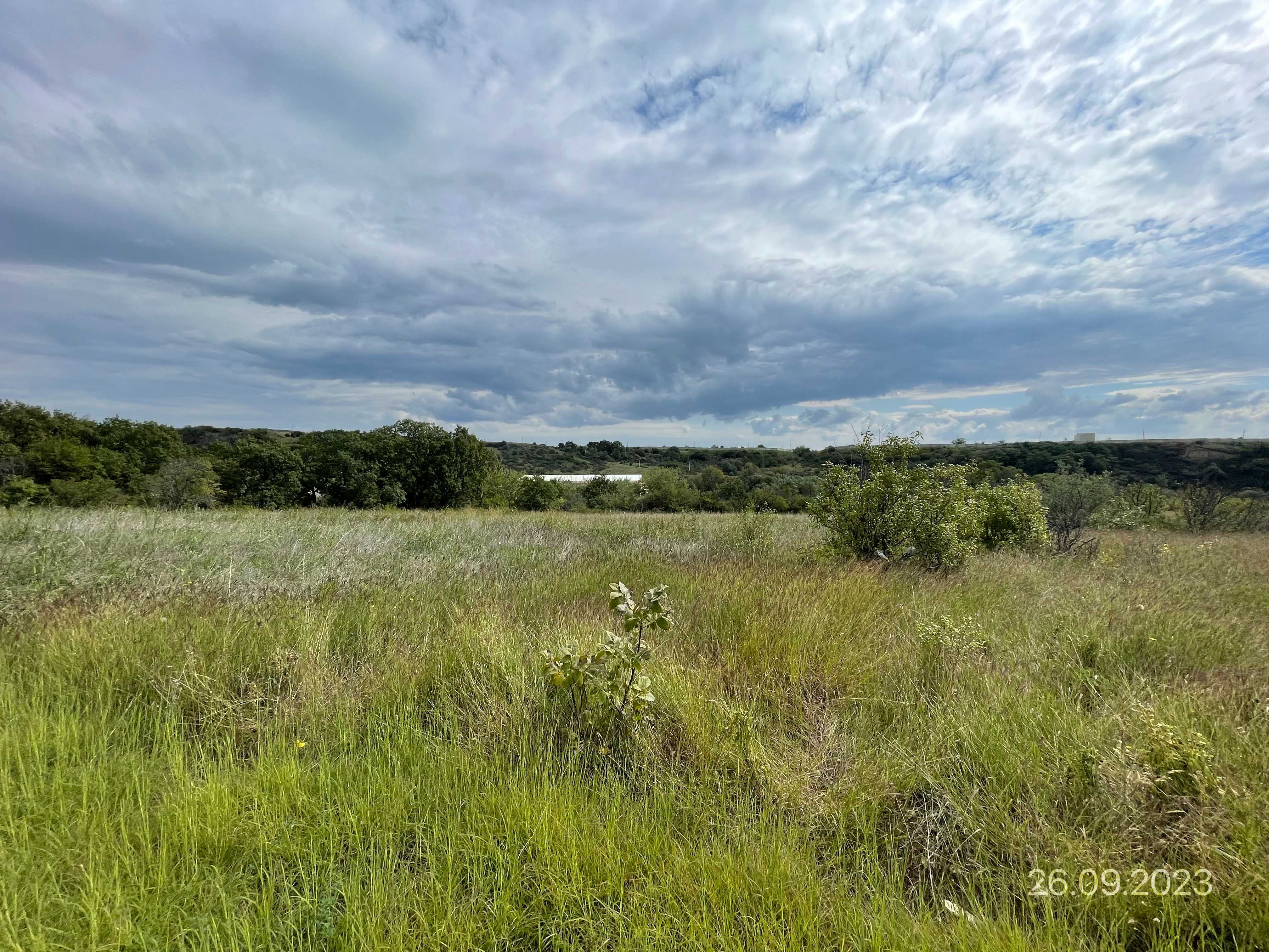For Sale Sasoplo-Sameurneo Land Plot Gardabanshi view 12