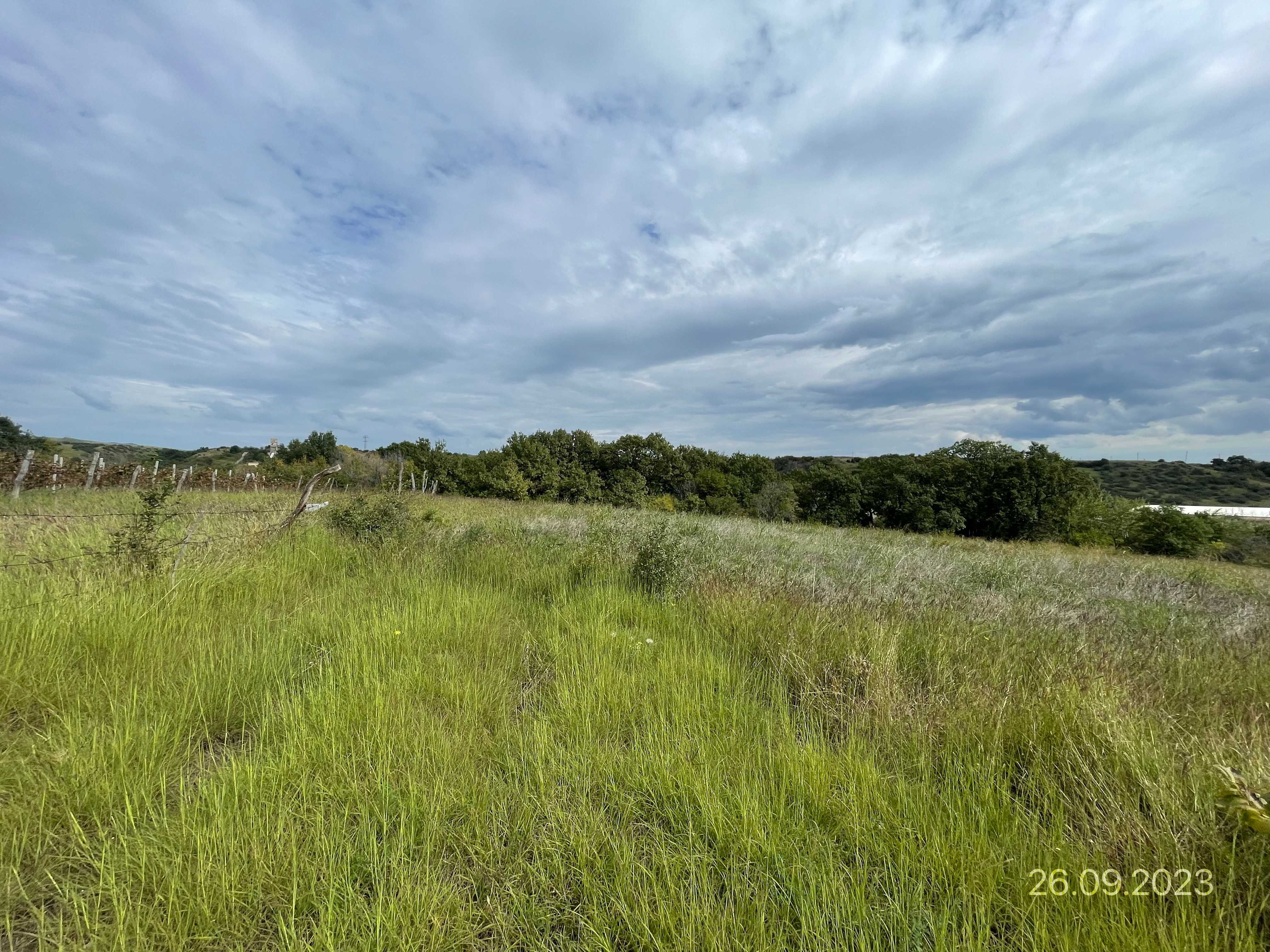 For Sale Sasoplo-Sameurneo Land Plot Gardabanshi view 9