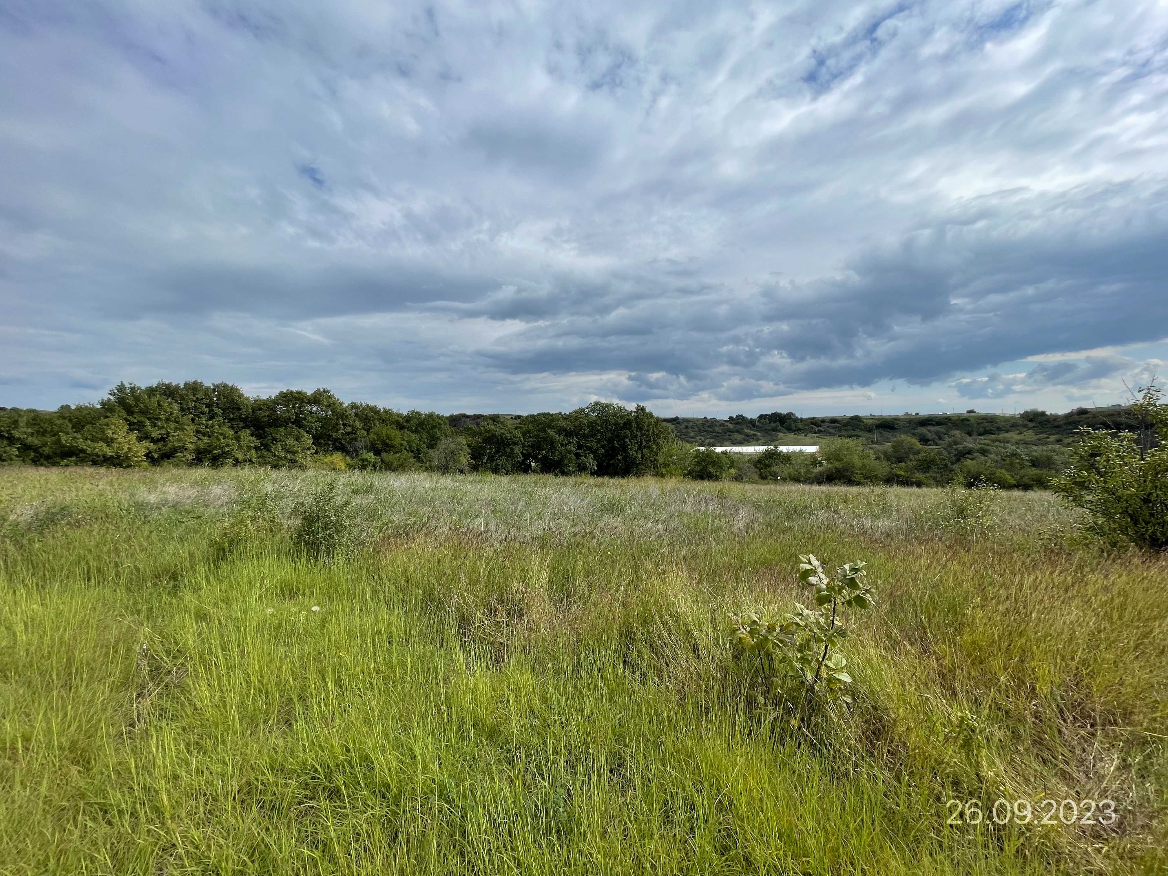 For Sale Sasoplo-Sameurneo Land Plot Gardabanshi view 10
