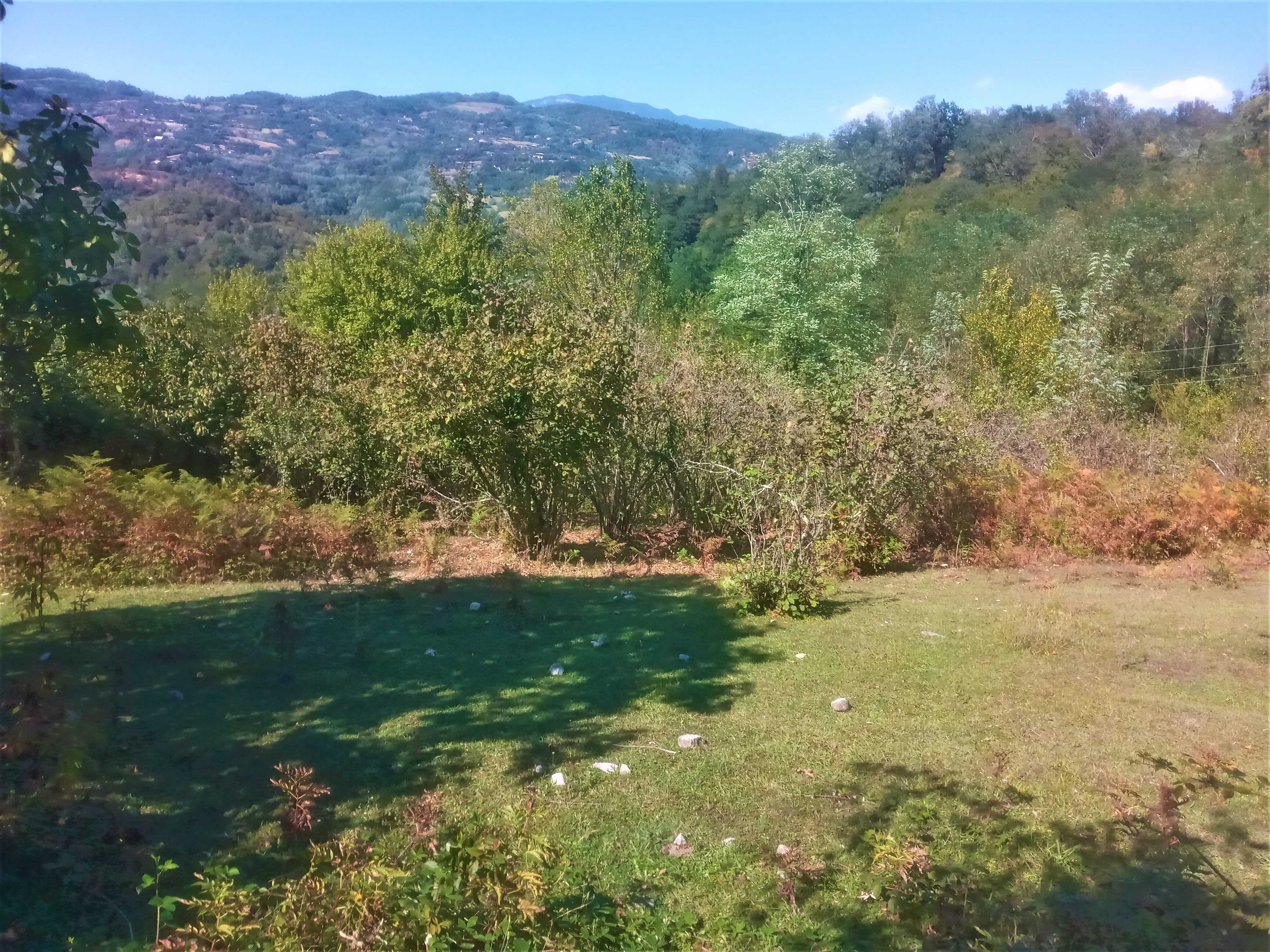Продажа Земля / участок в Tqibulshi view 10