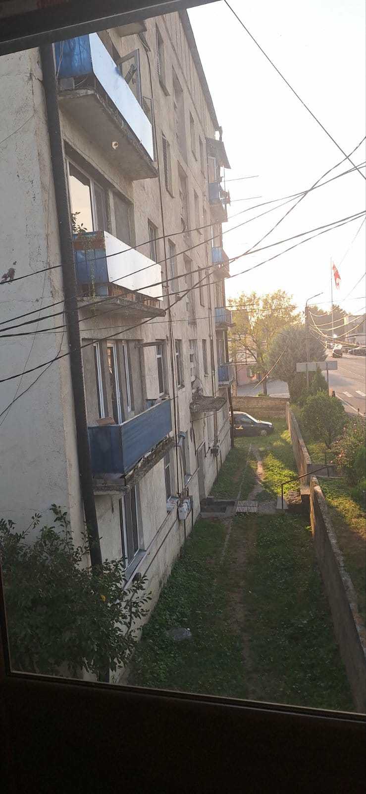 Commercial Space For Rent. Lagodekhi view 9