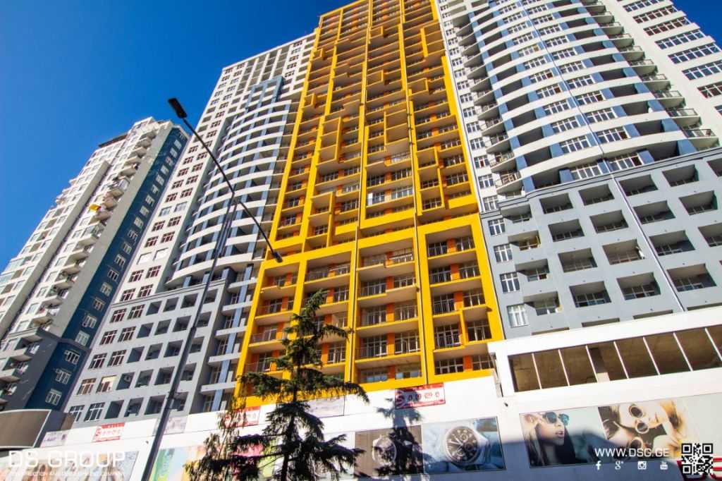1 Room Flat Daily Rent. Batumi view 7