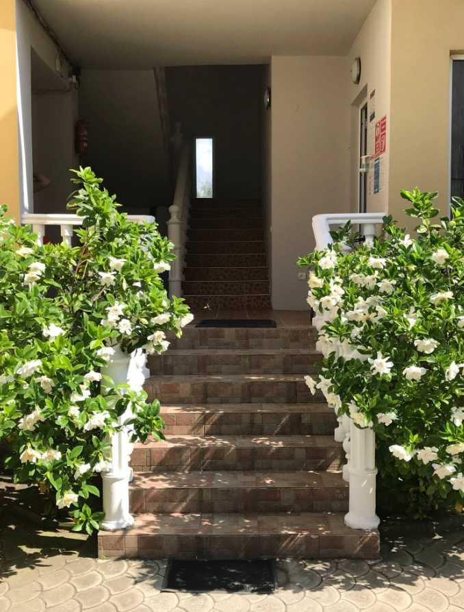 22 Room Hotel For Sale view 10