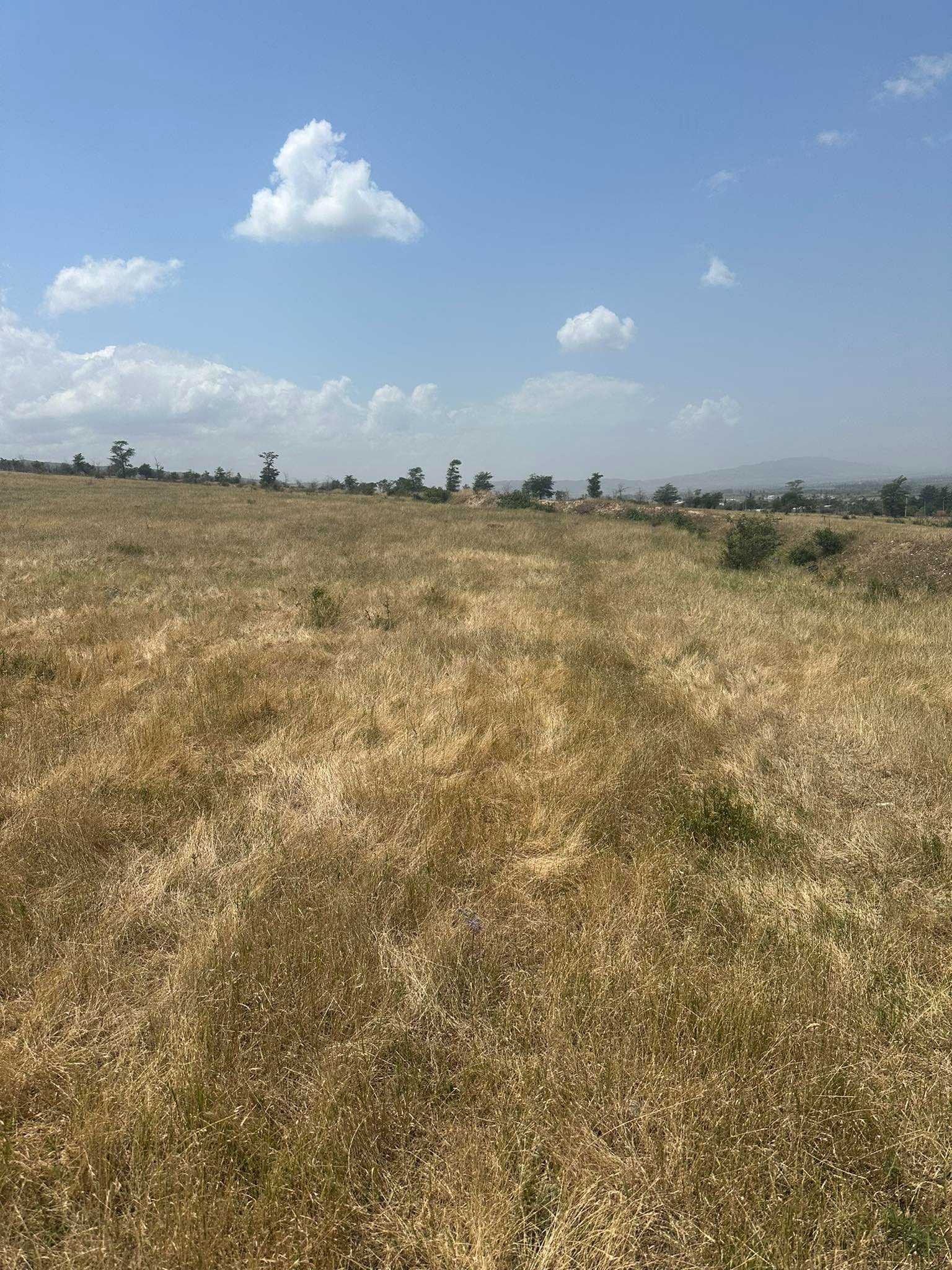 Land For Sale. Tserovani view 9
