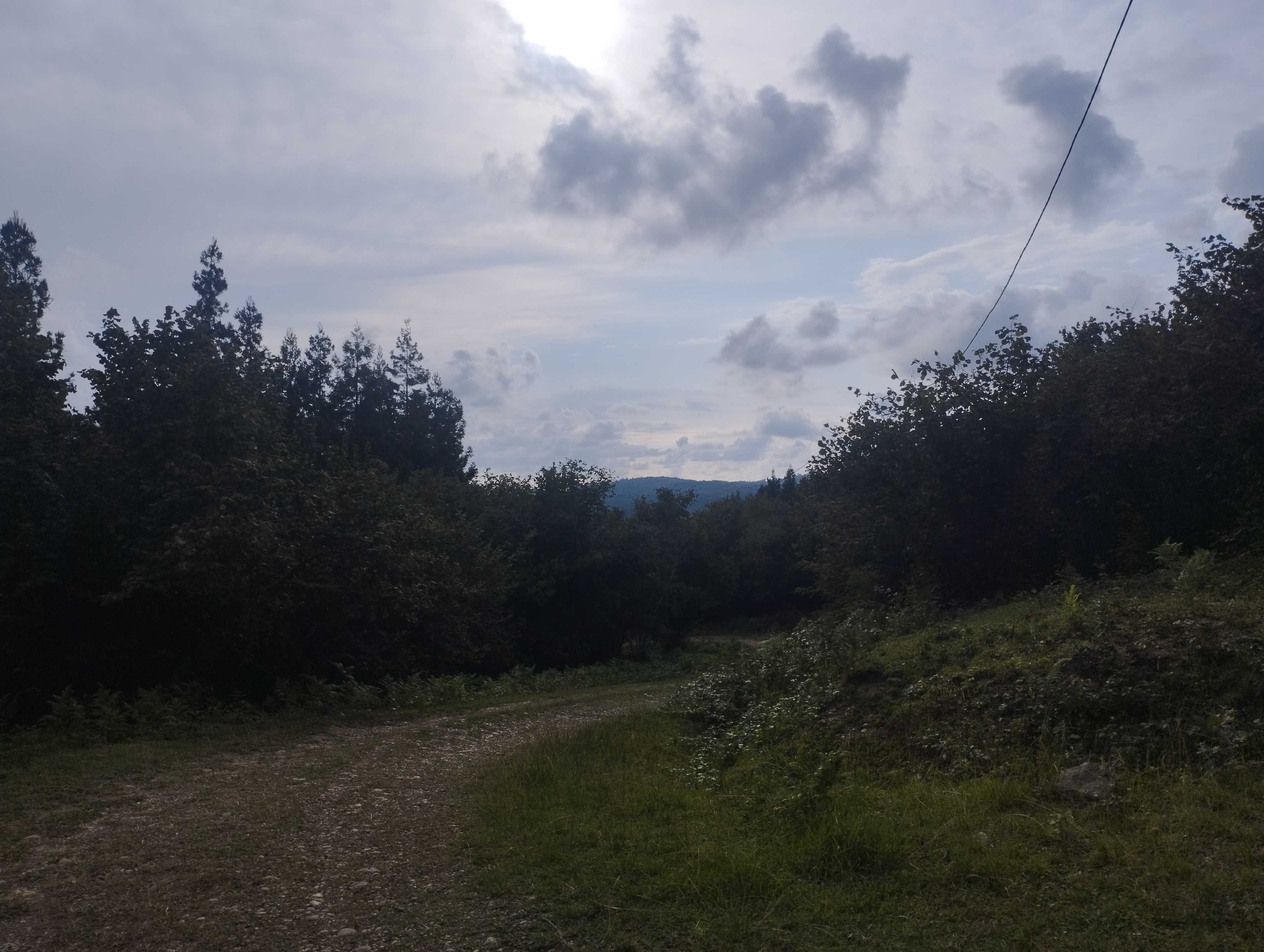 Commercial Space For Sale. Ureki view 3