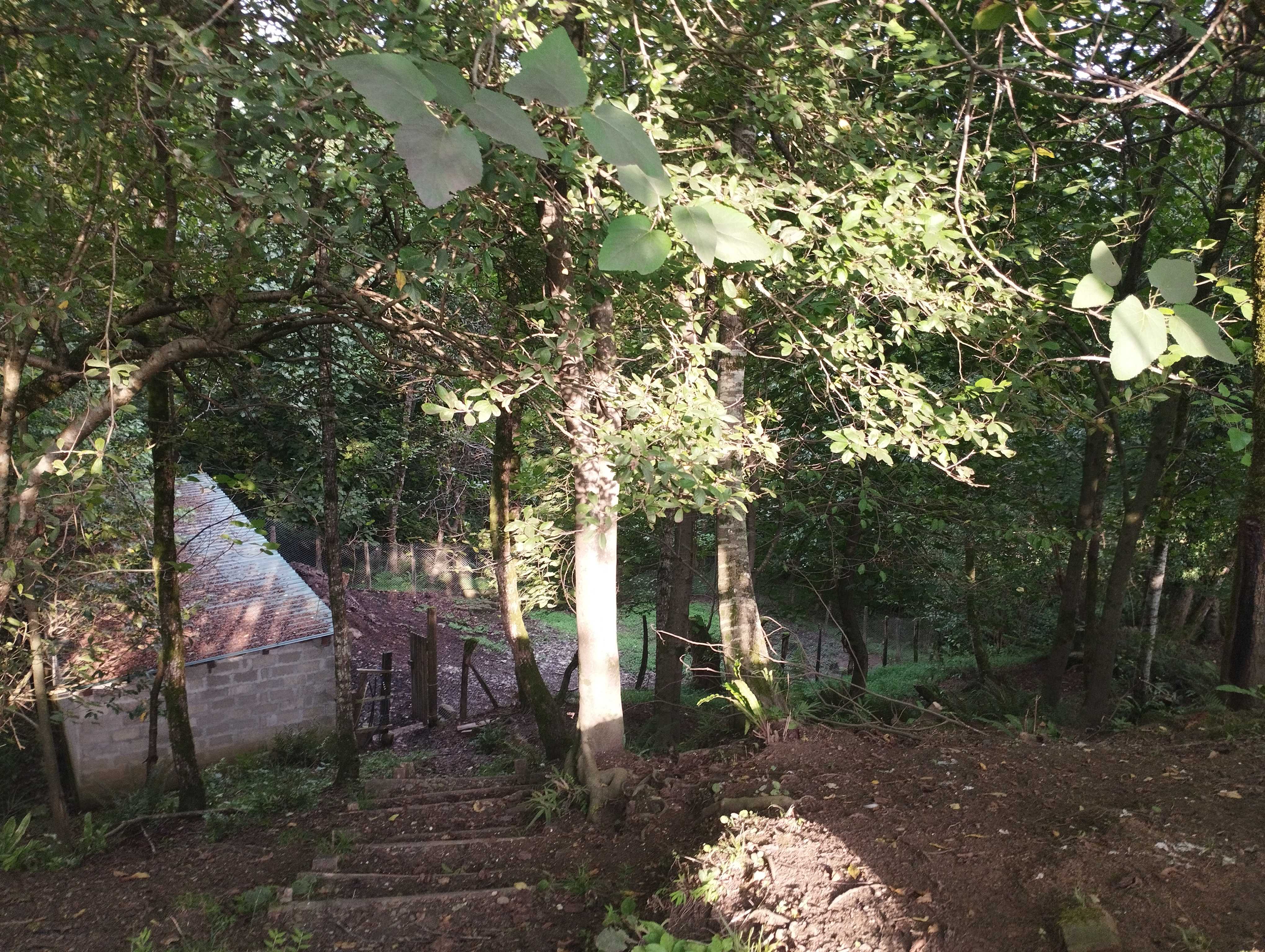 Commercial Space For Sale. Ureki view 7