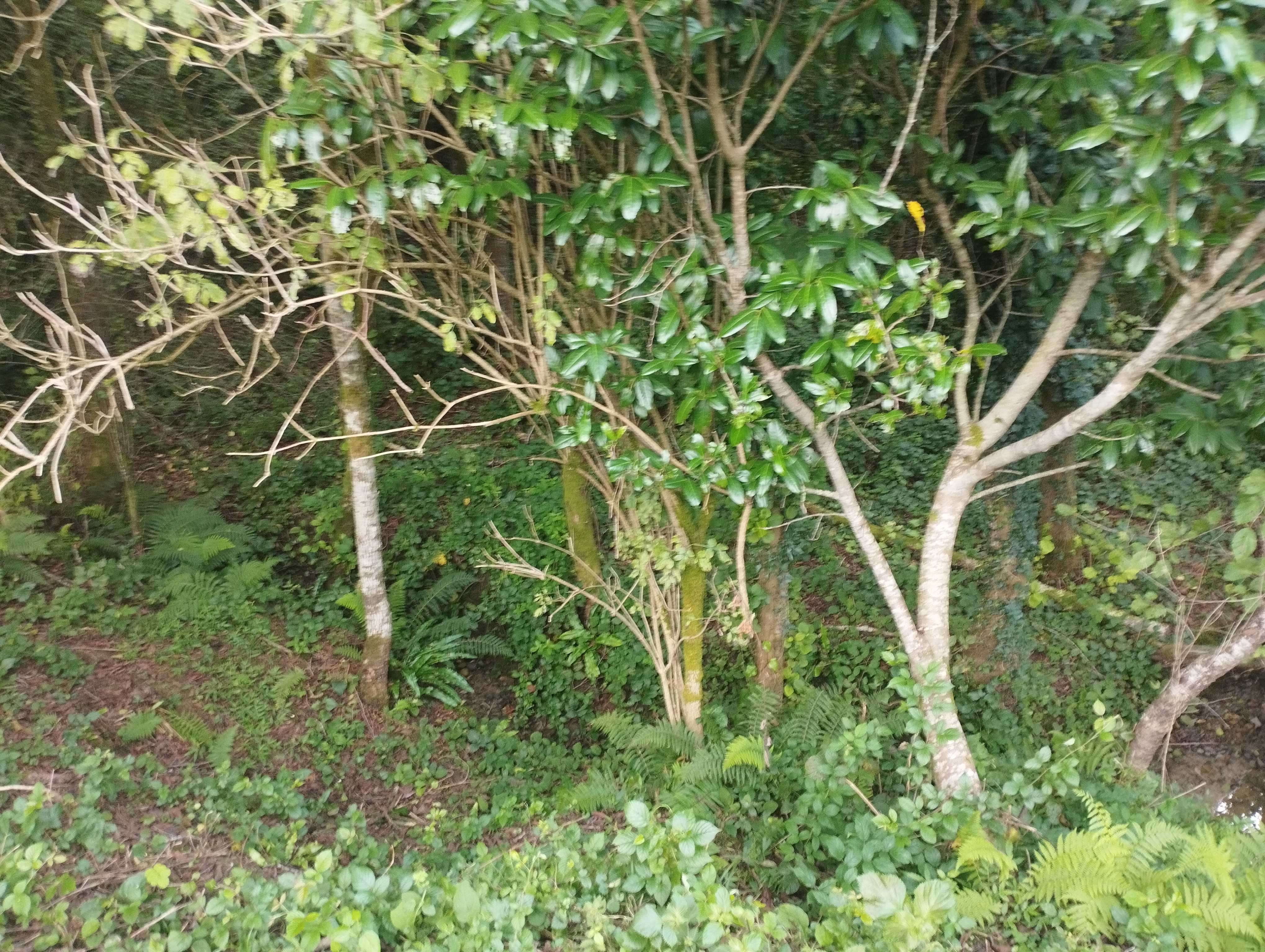 Commercial Space For Sale. Ureki view 8