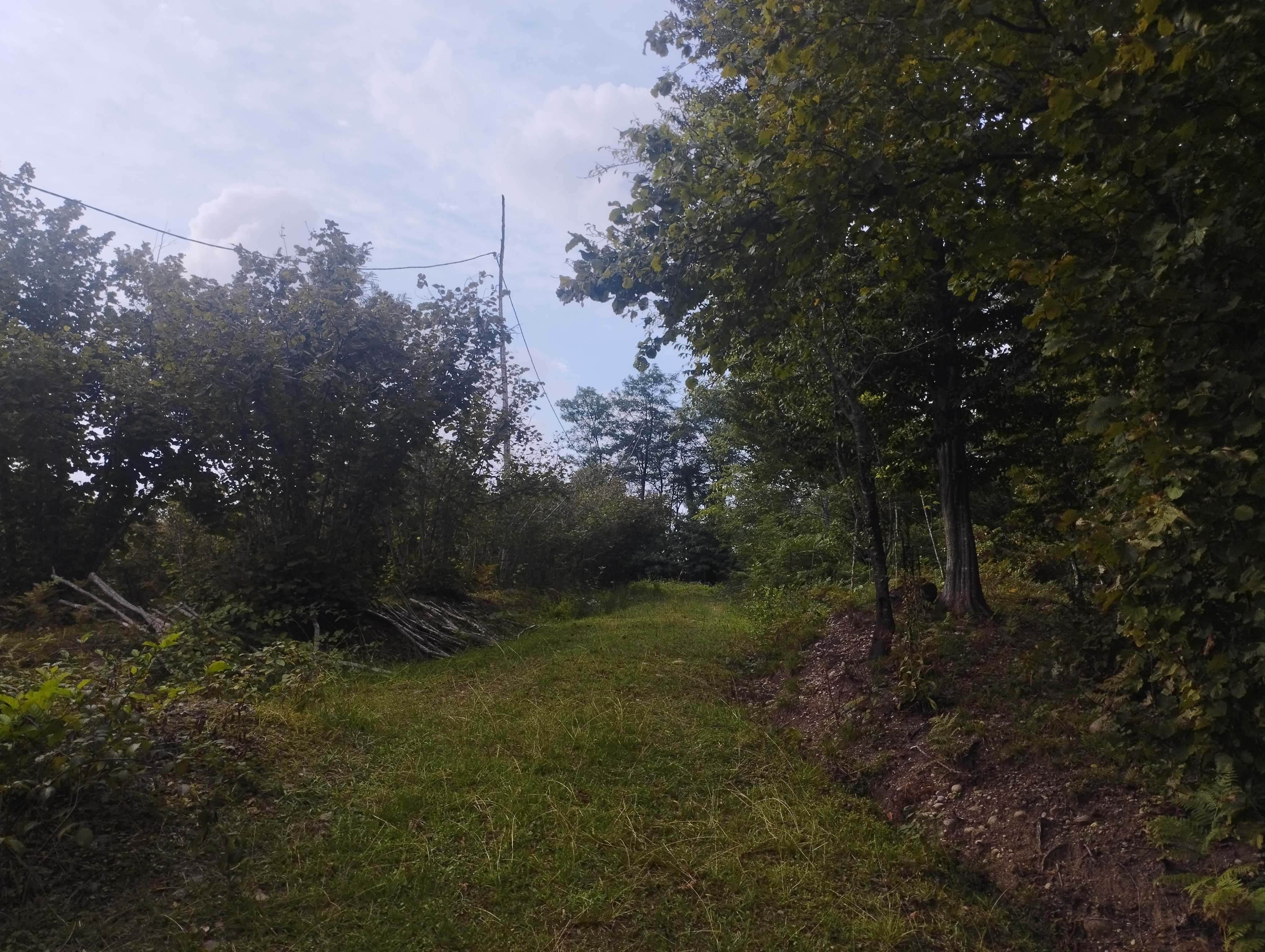 Commercial Space For Sale. Ureki view 9
