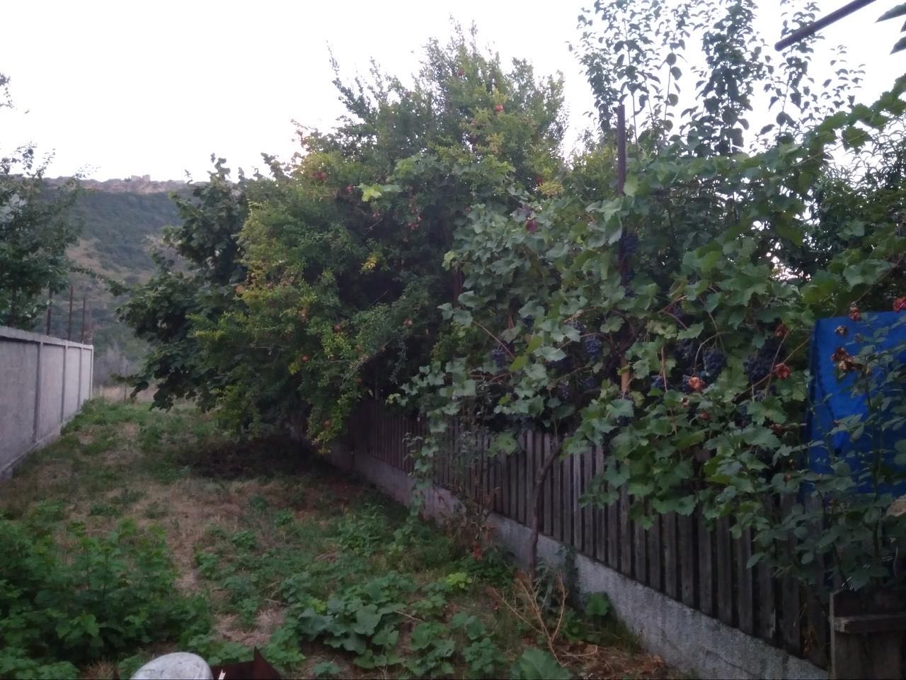 Land For Sale. Zahesi - Widok 3