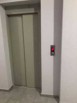 https://static.ss.ge/20240926/19_0311cf17-27e9-4bb8-876b-d9dd8a8058bb_Thumb.jpg