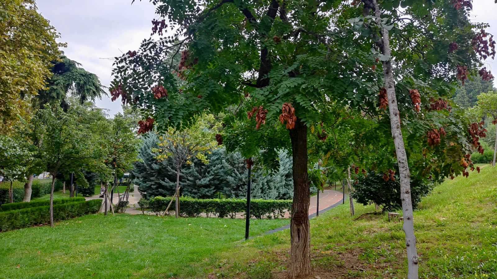 Garage For Sale. Saburtalo , 7000 30294668 ss.ge