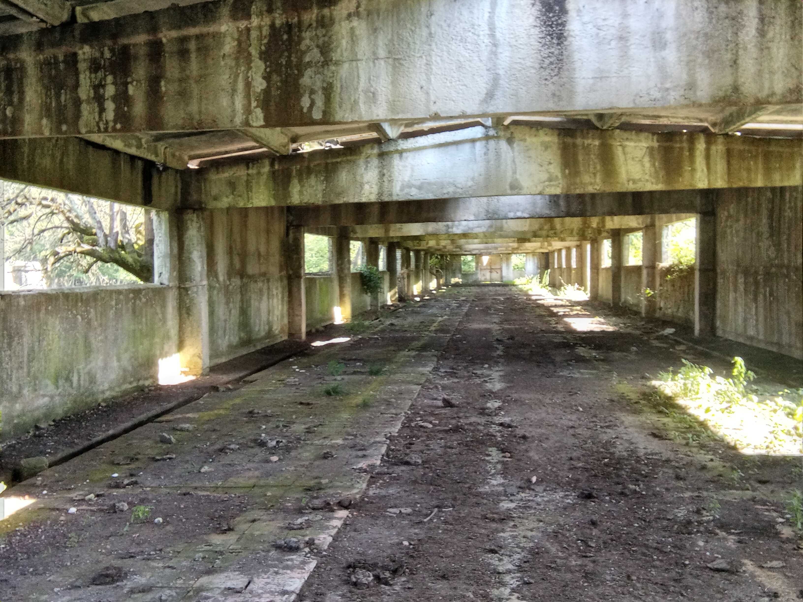 Store-Industrial Property For Sale. Zugdidi view 5