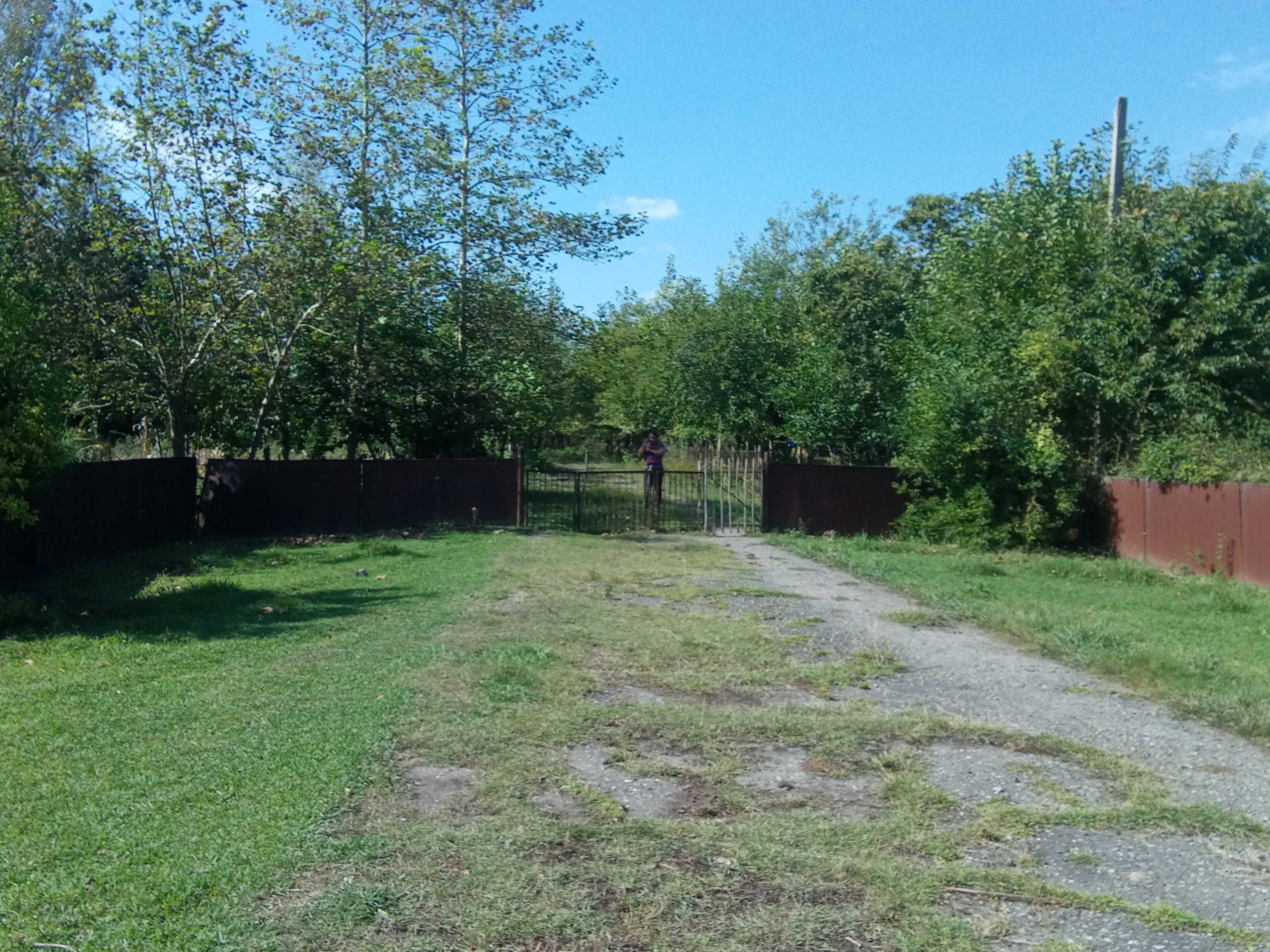 Store-Industrial Property For Sale. Zugdidi view 6
