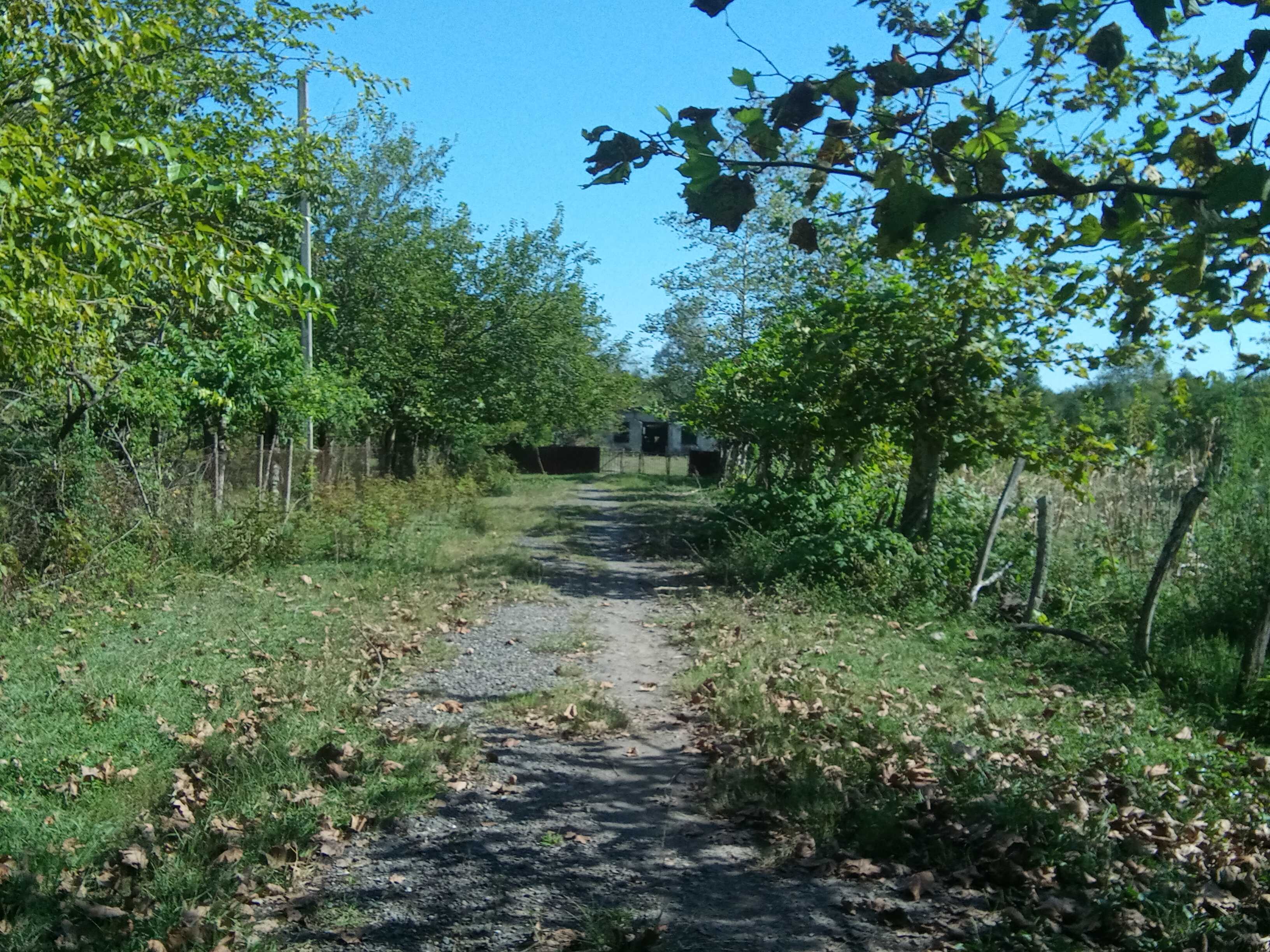Store-Industrial Property For Sale. Zugdidi view 7