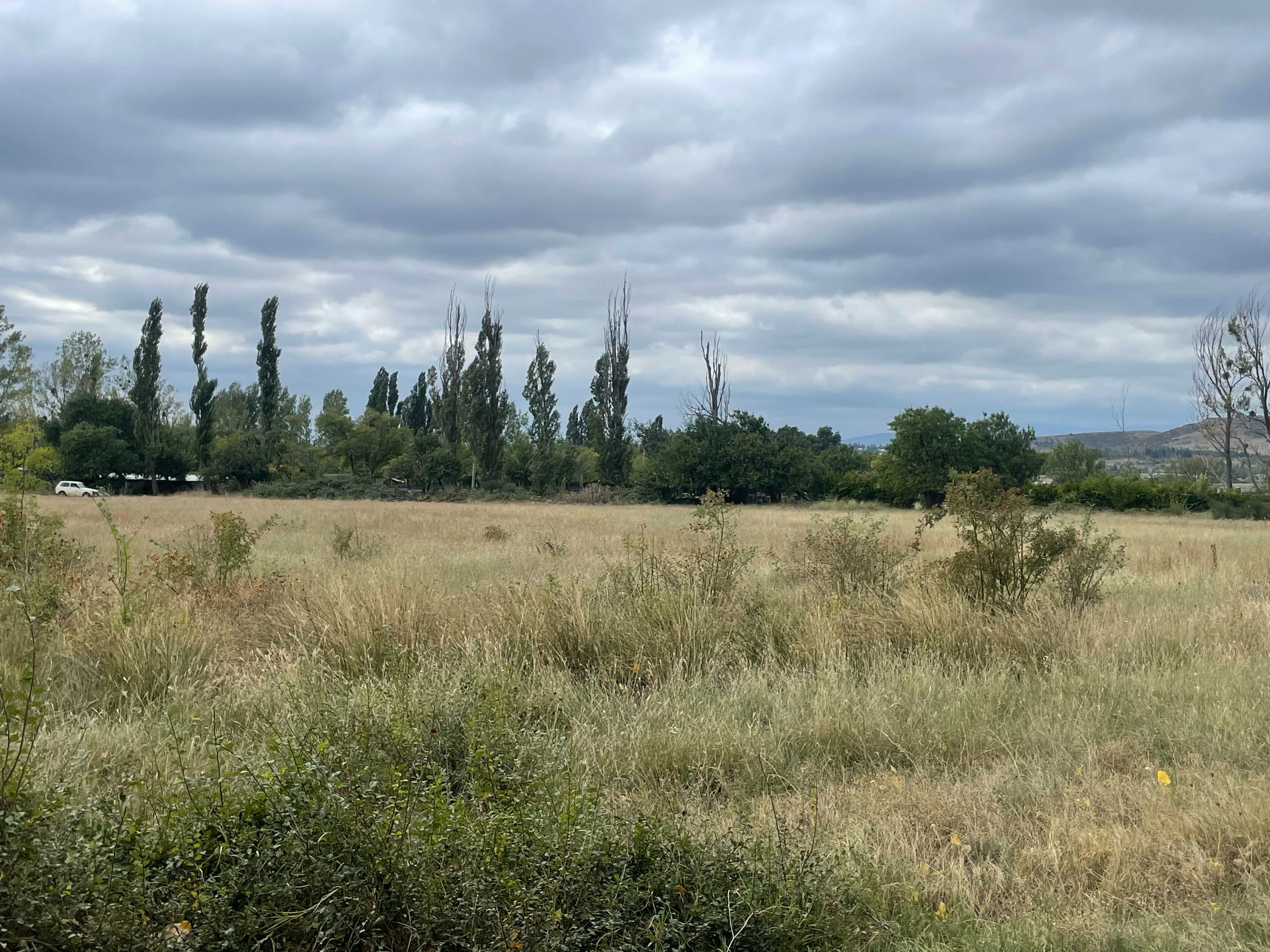Land For Sale. Gardabani, 1 of 4