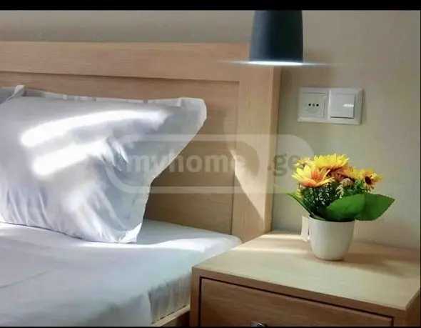 3 Room Private House For Rent. Chugureti view 2