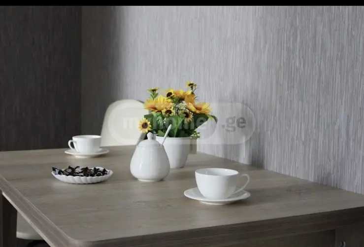 3 Room Private House For Rent. Chugureti view 9