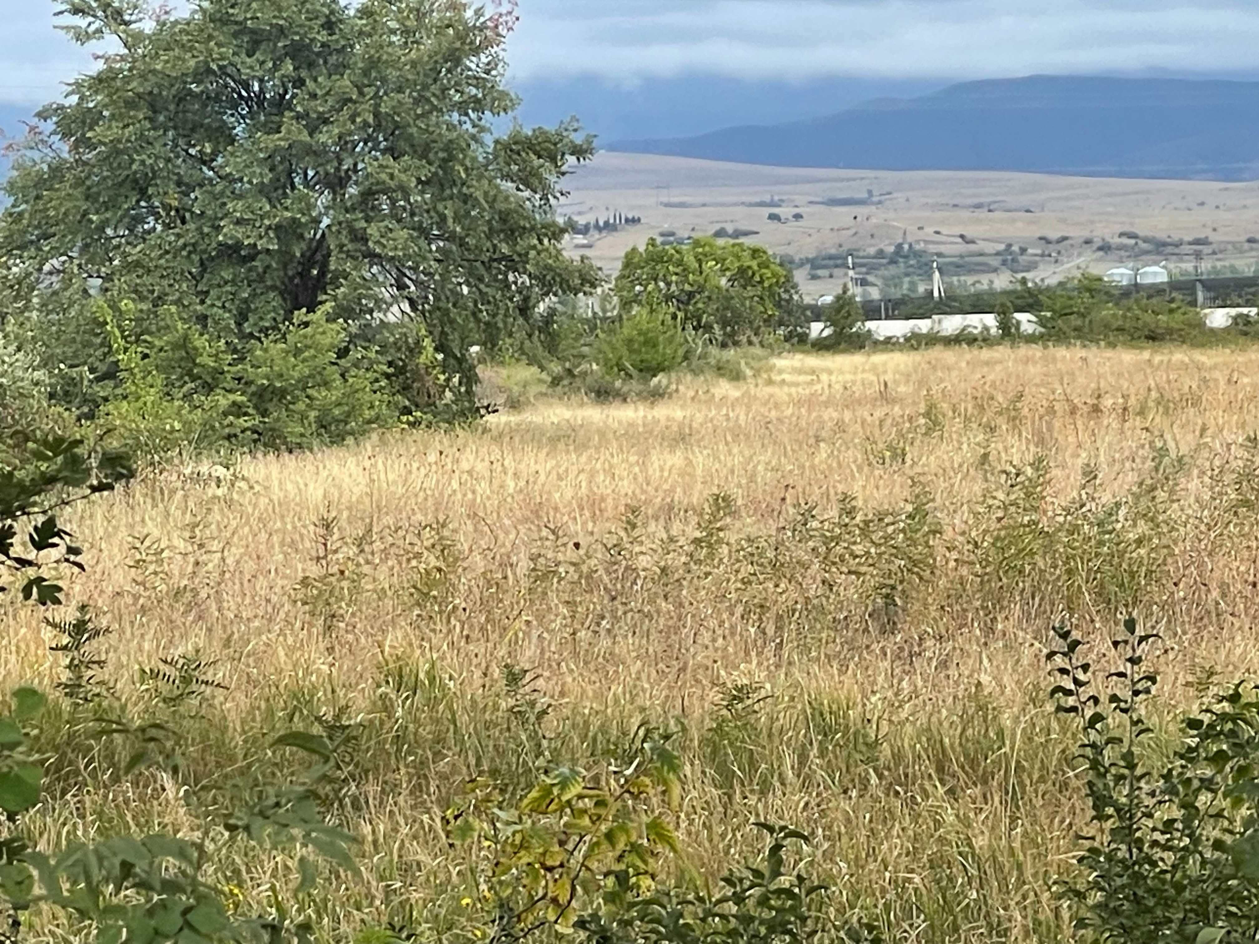 Land For Sale. Gardabani, 4 of 4