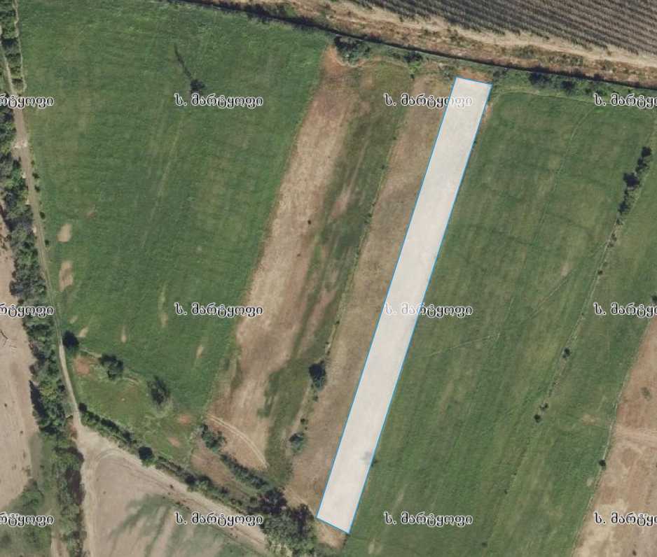 Land For Sale. Gardabani view 5