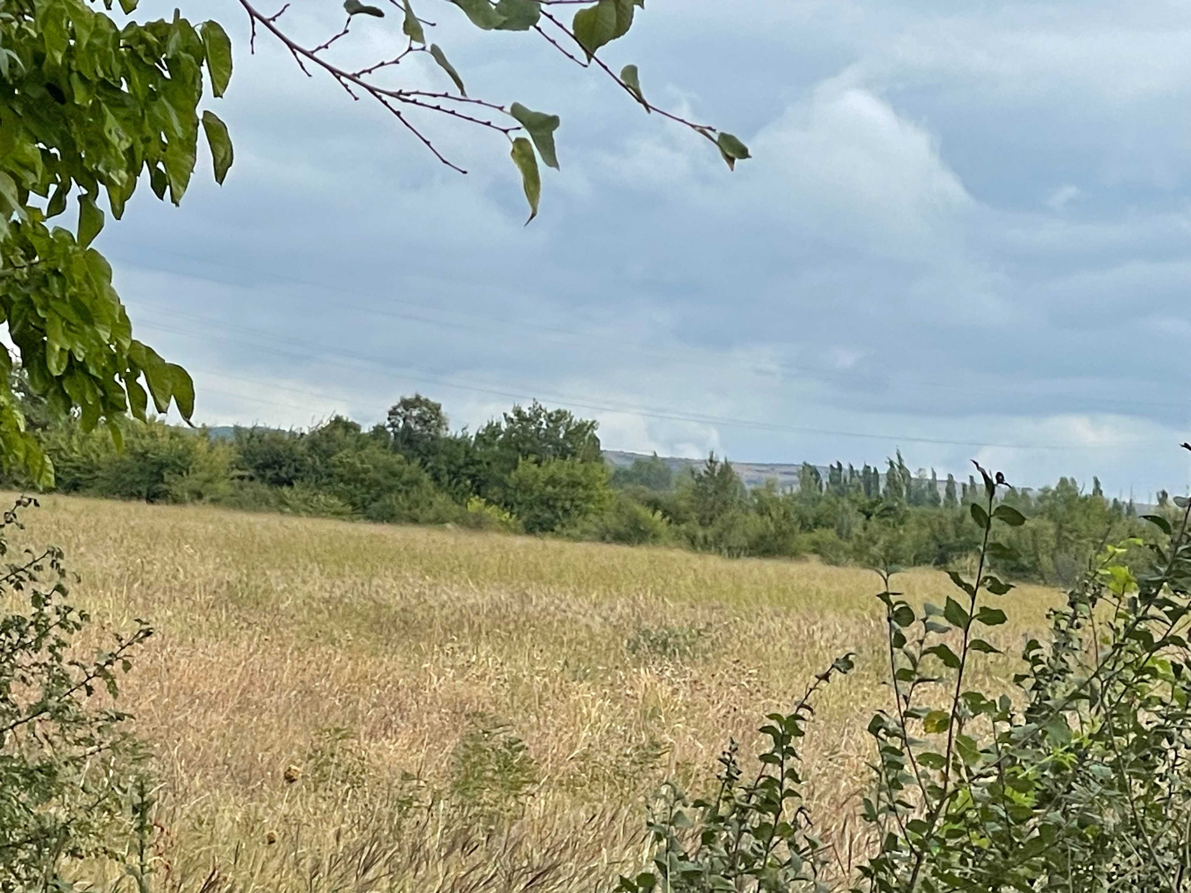 Land For Sale. Gardabani, 2 of 4