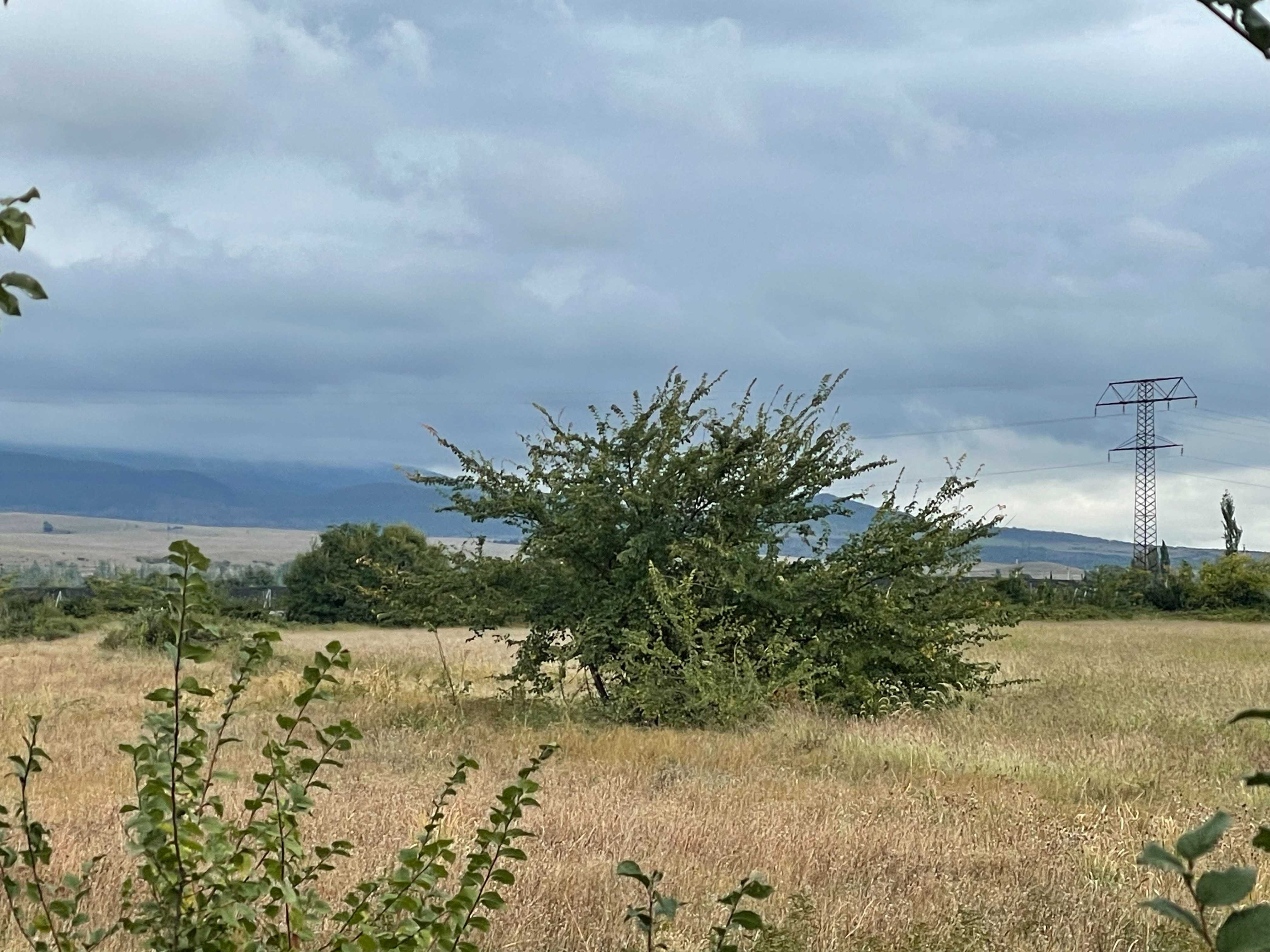 Land For Sale. Gardabani, 3 of 4