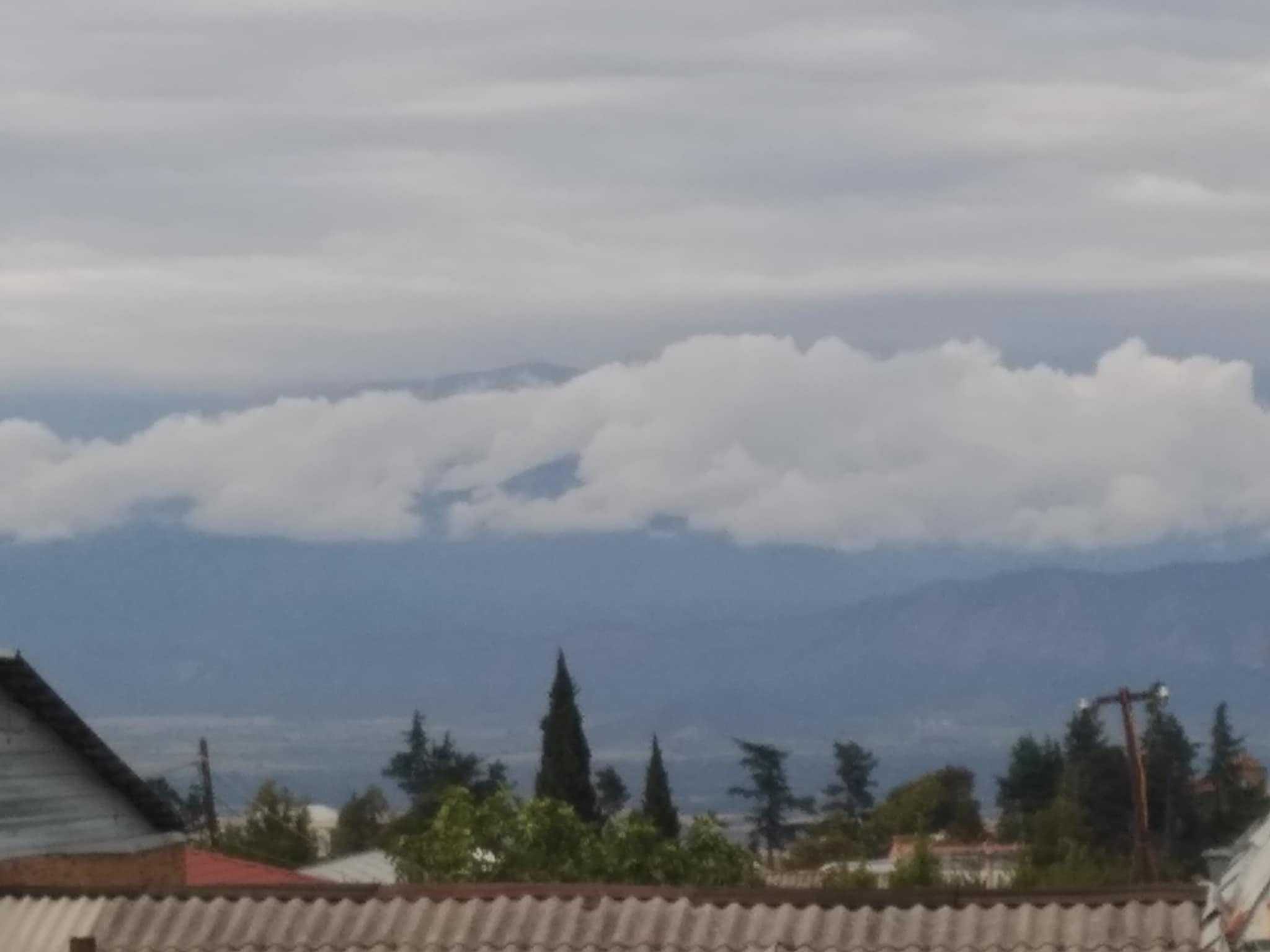 3 Room Private House Daily Rent. Telavi, 2 of 4