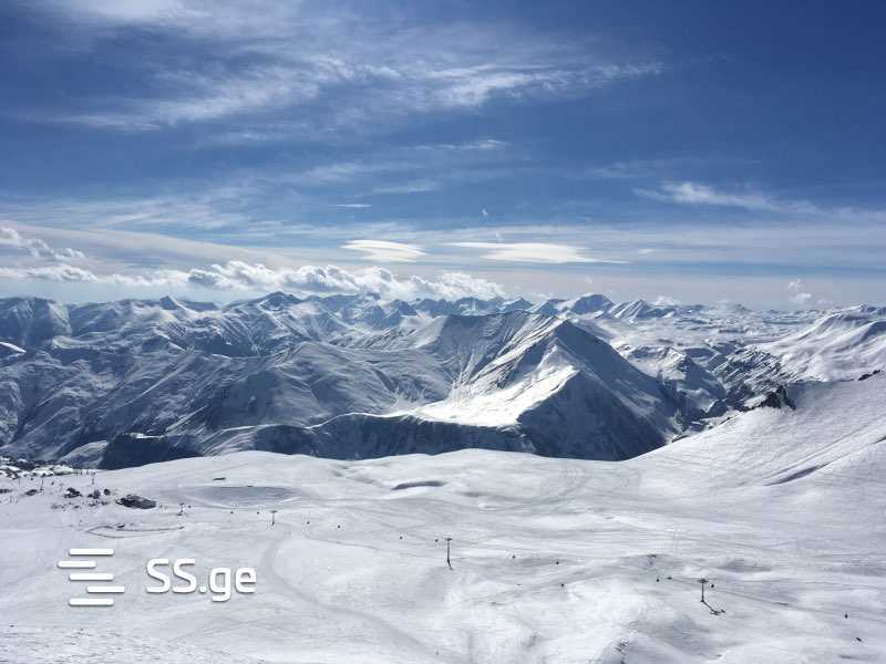 იყიდება მიწა გუდაურიში view 3