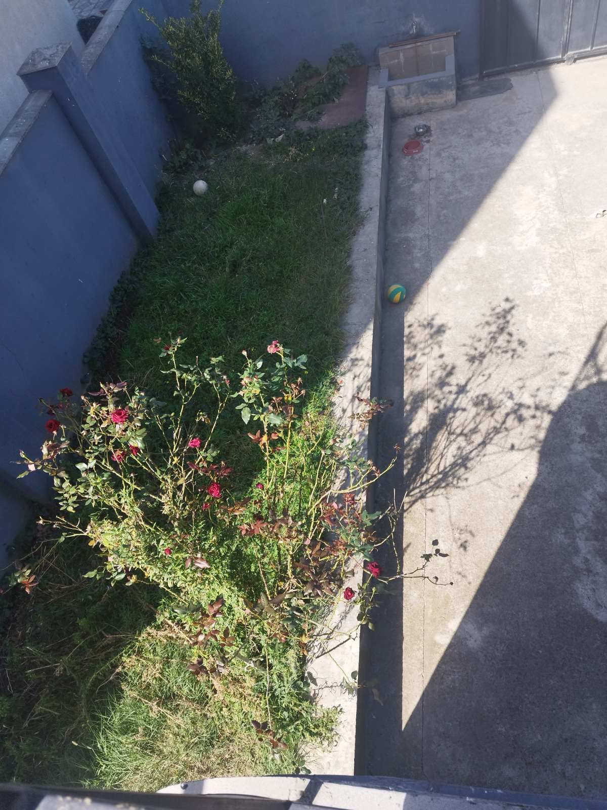 5 Room Private House For Rent. Temqa view 9