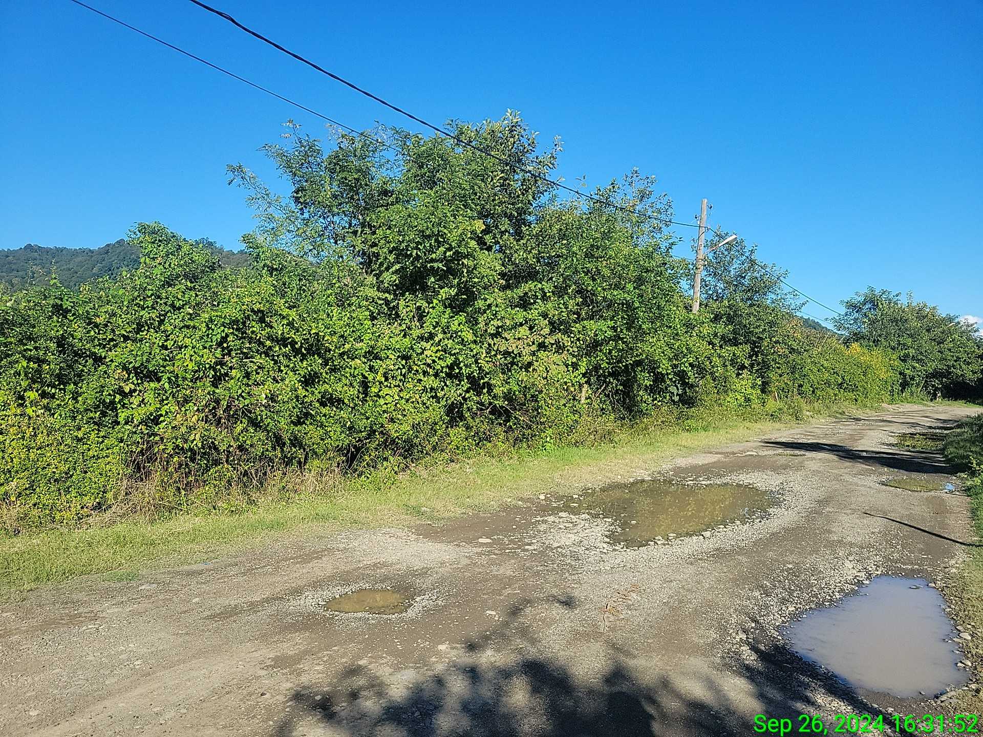 Продажа Земля / участок в Ozurgetshi view 16