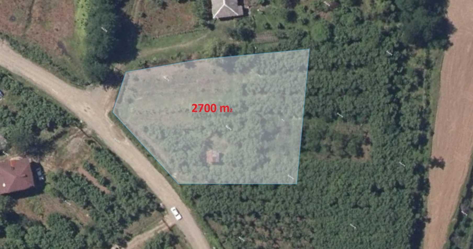 Продажа Земля / участок в Ozurgetshi view 14
