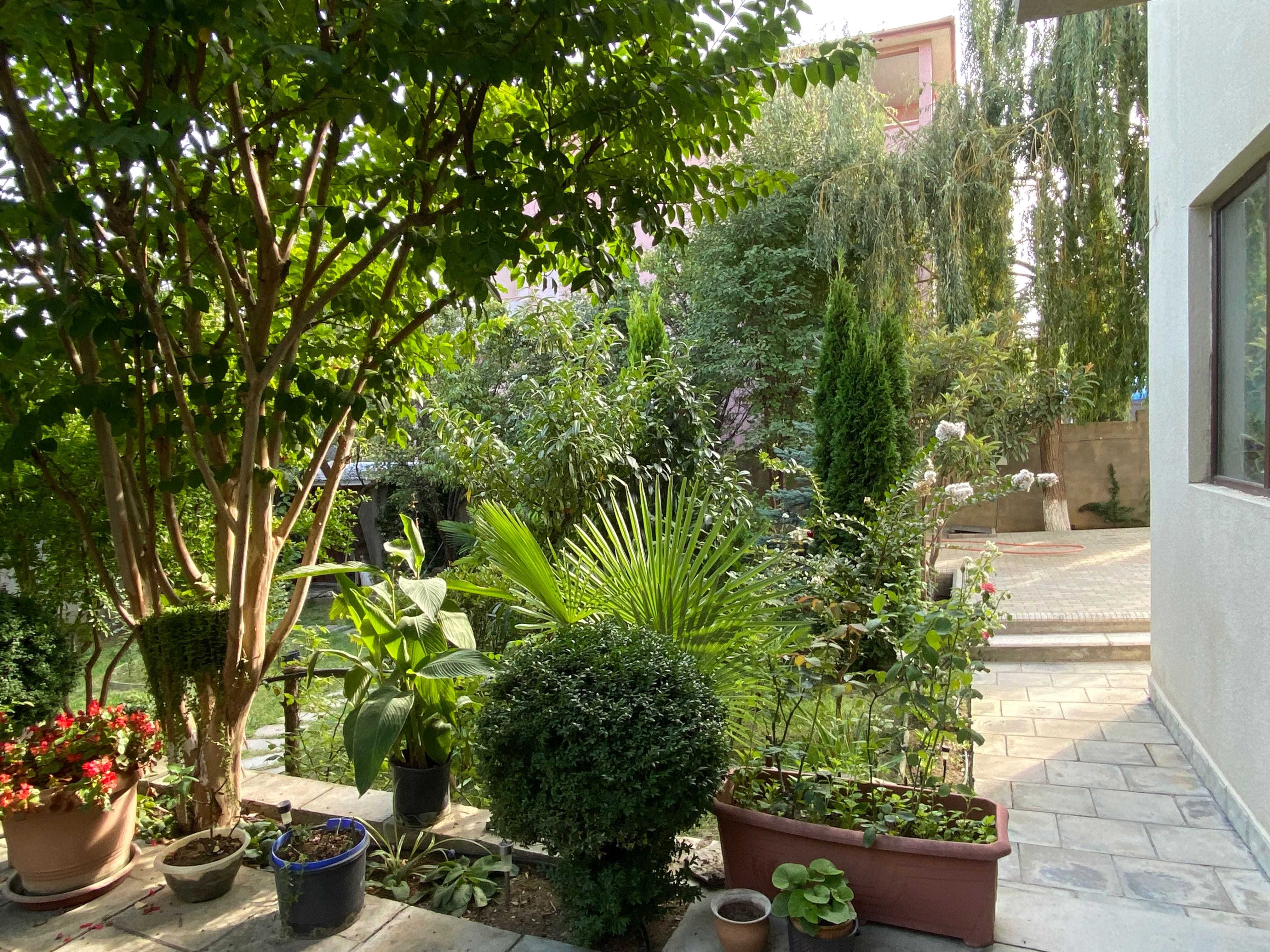7 Room Private House For Rent. Mtatsminda view 10