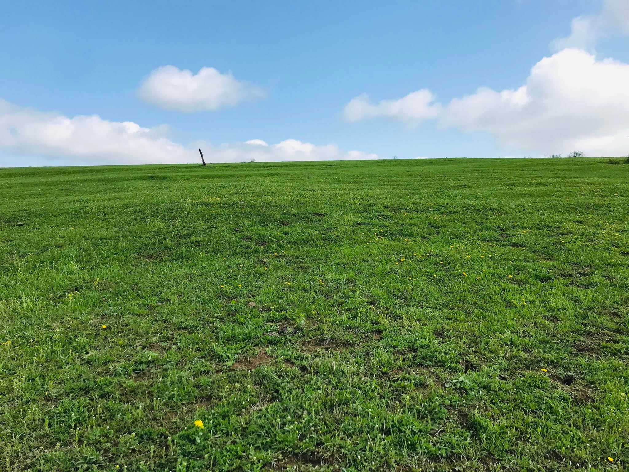 Land For Sale. Rustavi, 22000 30419561 ss.ge