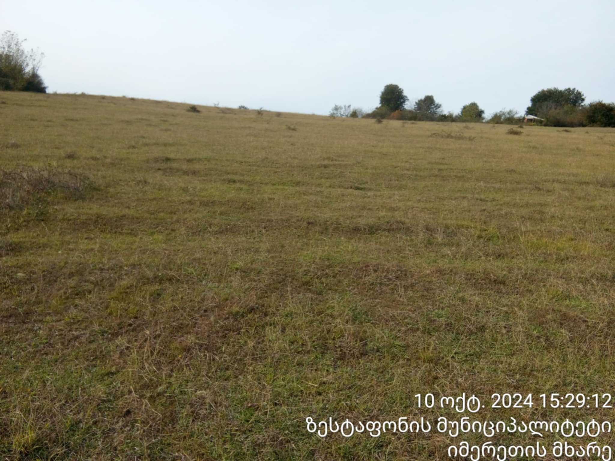 For Sale Sasoplo-Sameurneo Land Plot Zestaponshi view 7