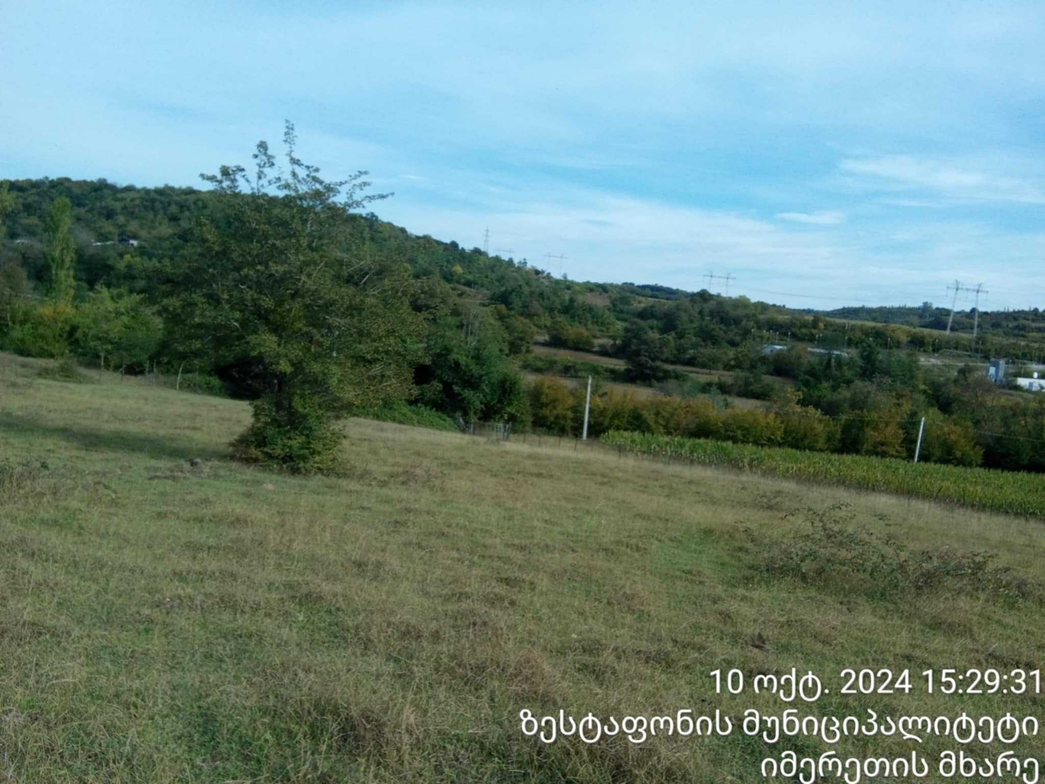 For Sale Sasoplo-Sameurneo Land Plot Zestaponshi view 9