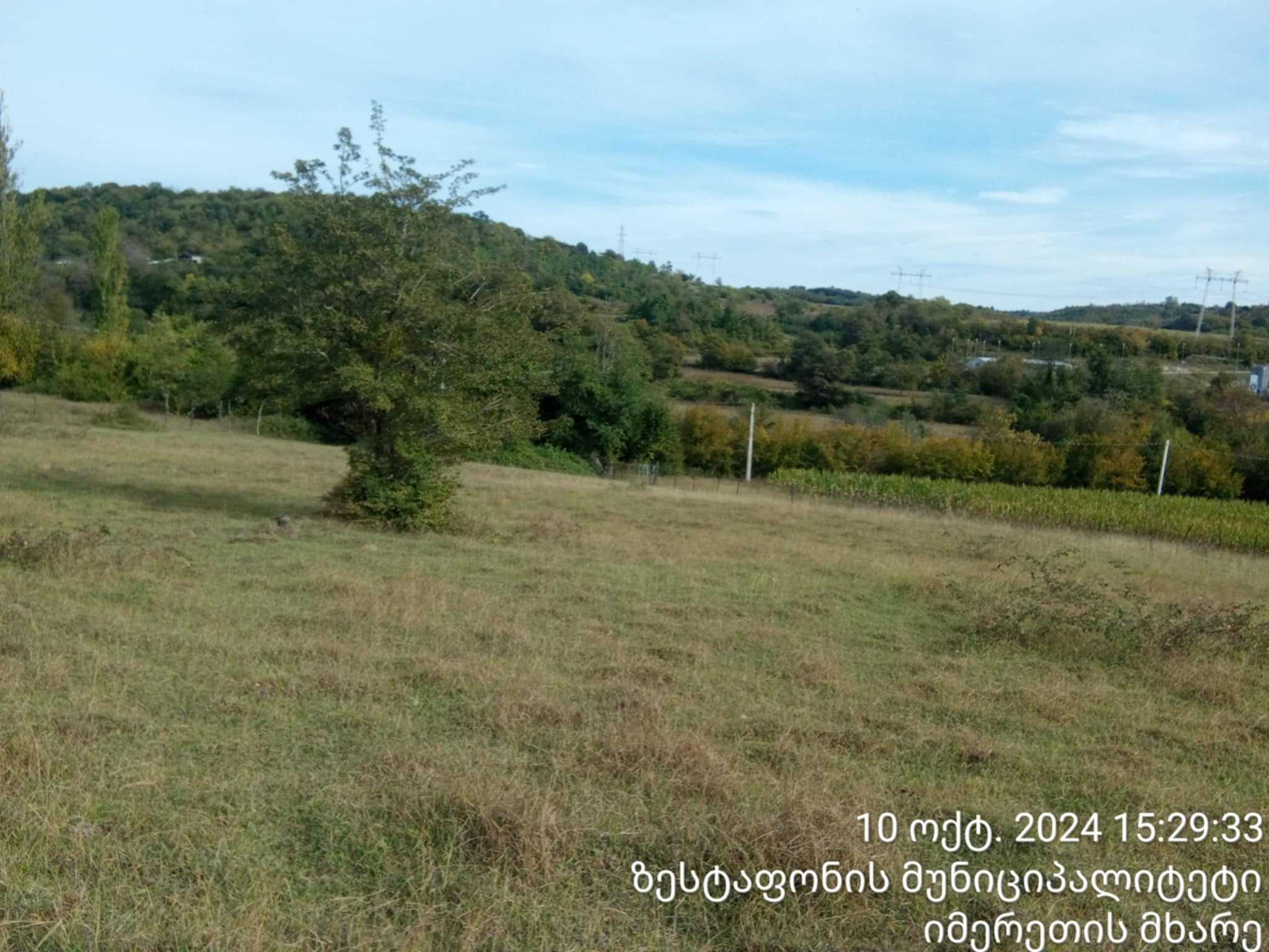 For Sale Sasoplo-Sameurneo Land Plot Zestaponshi view 8