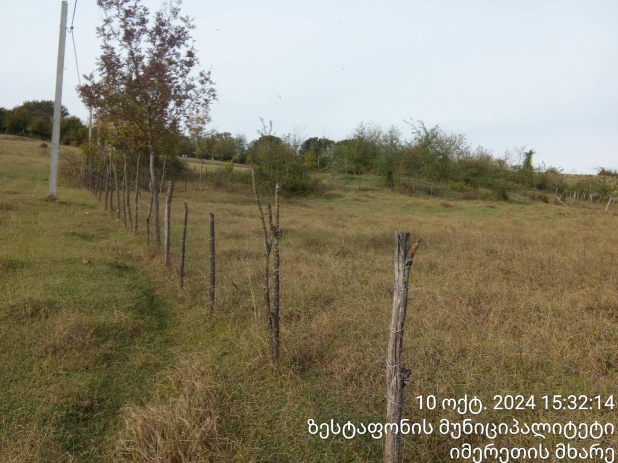 For Sale Sasoplo-Sameurneo Land Plot Zestaponshi view 10