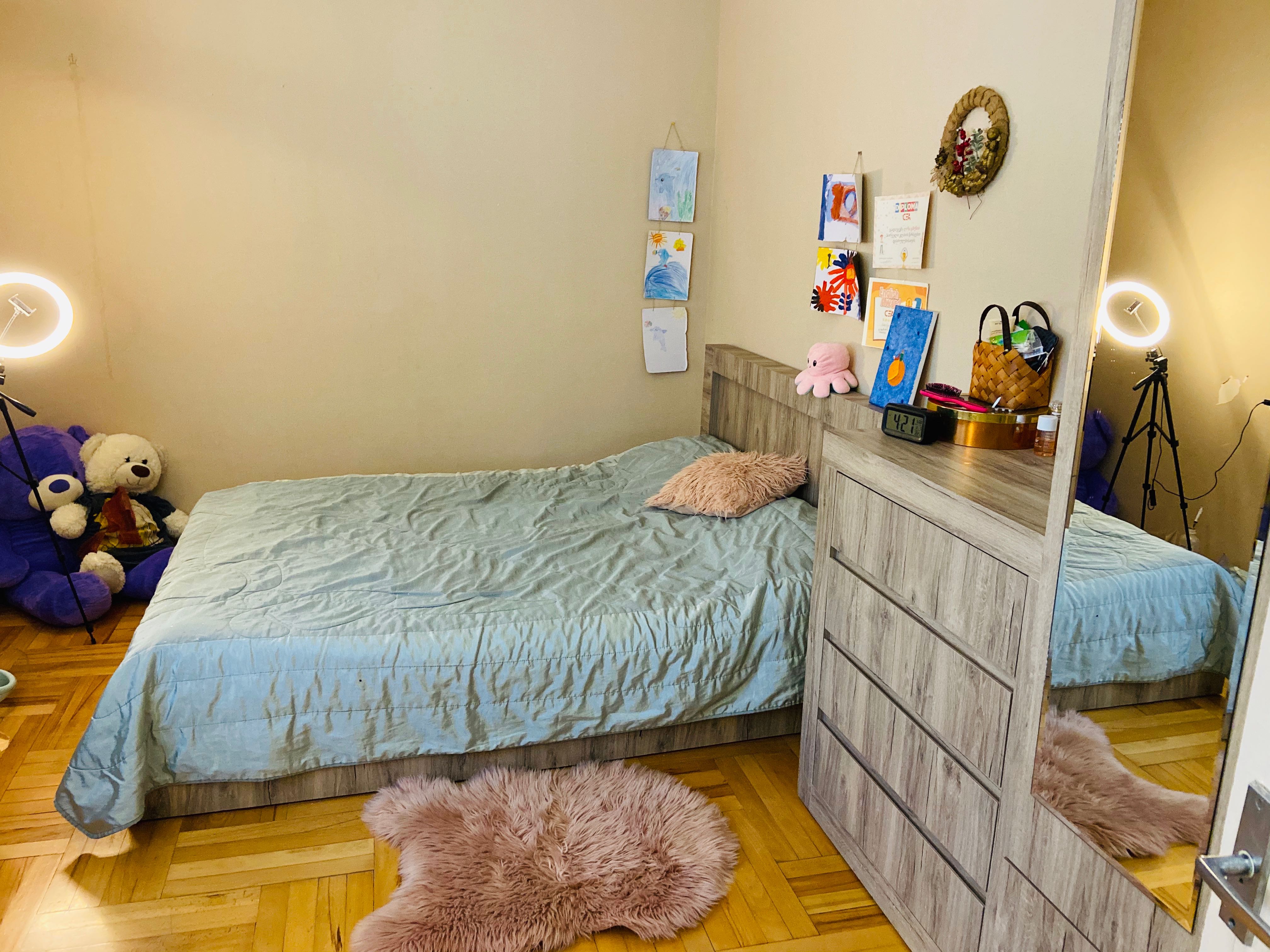 5 Room Private House For Rent. Natakhtari view 3