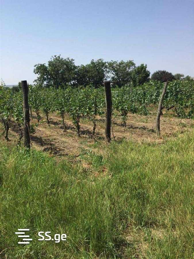 Land For Sale. 30447243 ss.ge