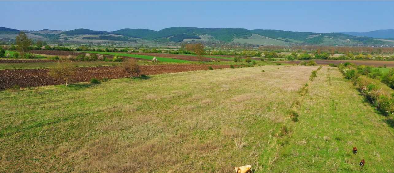 Продажа Земля в тианети view 3