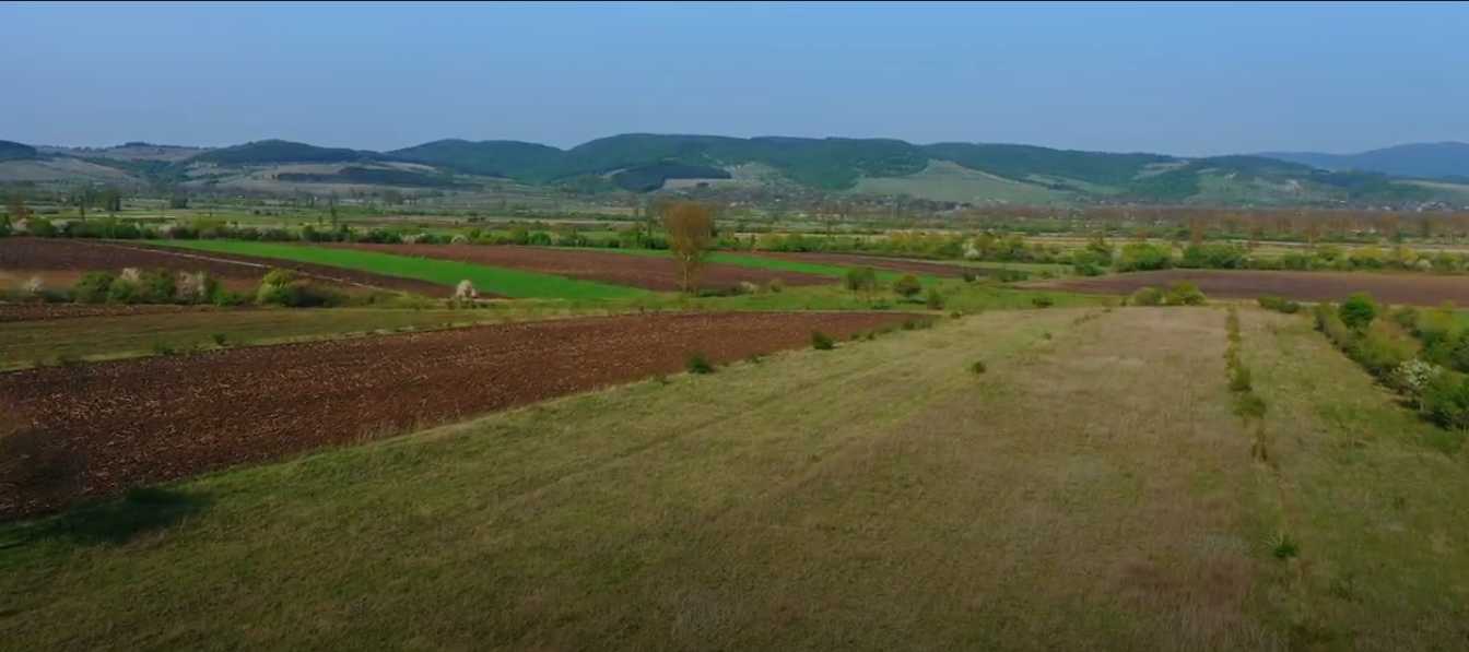 Продажа Земля в тианети view 1