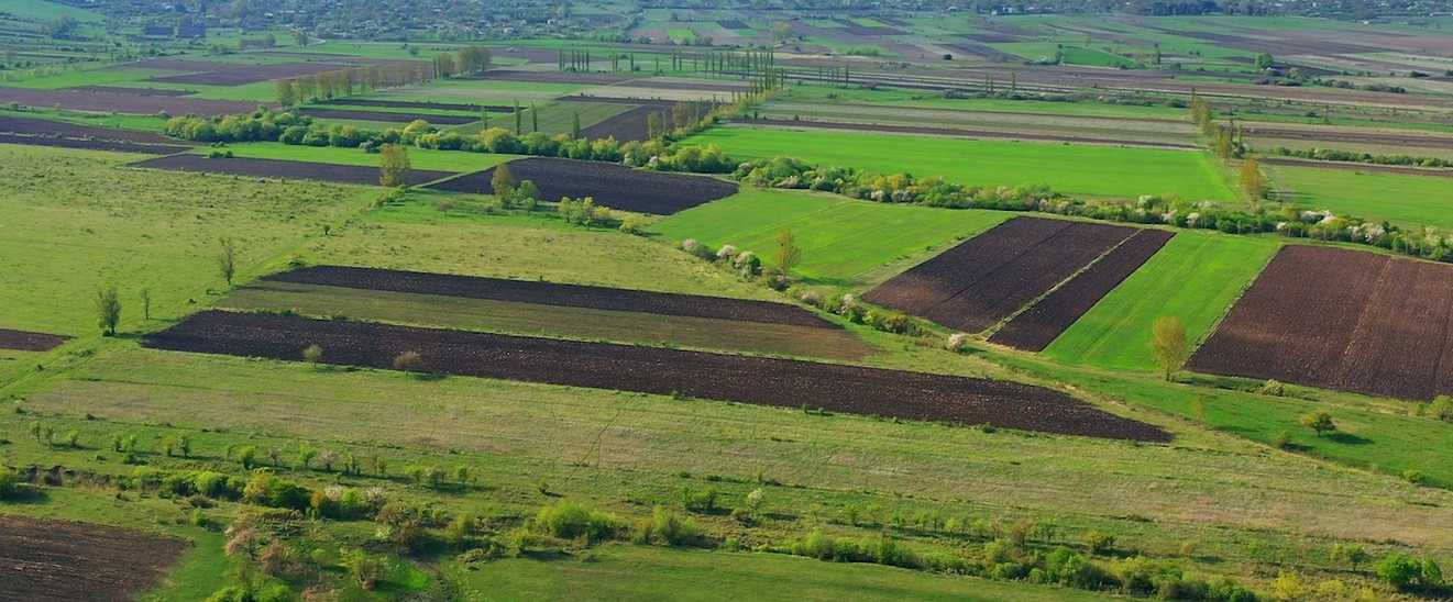 Продажа Земля в тианети view 5