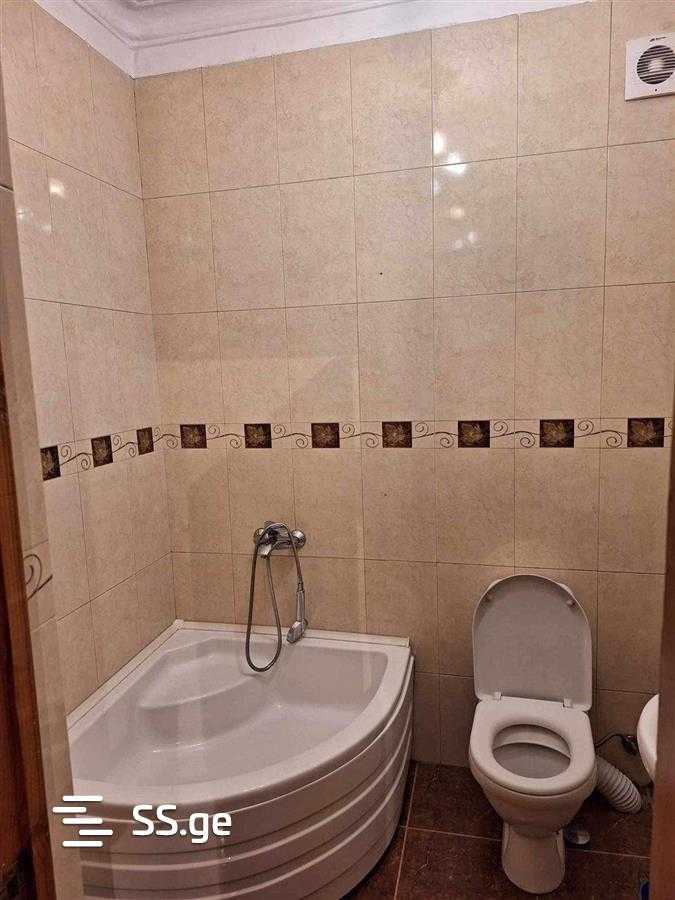 6 Room Private House For Rent. Chugureti view 12