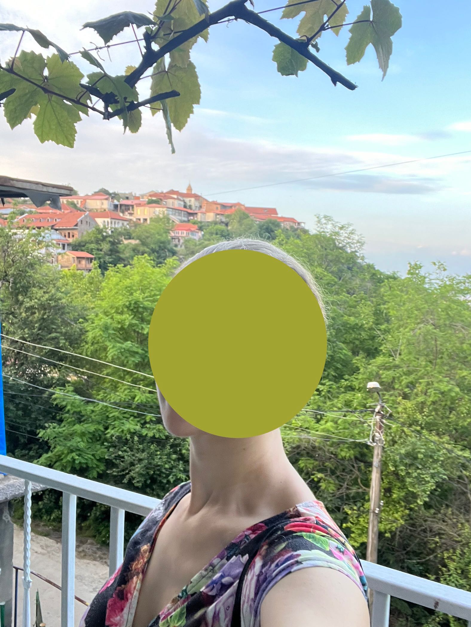 4 Room Private House For Rent. Signagi view 7