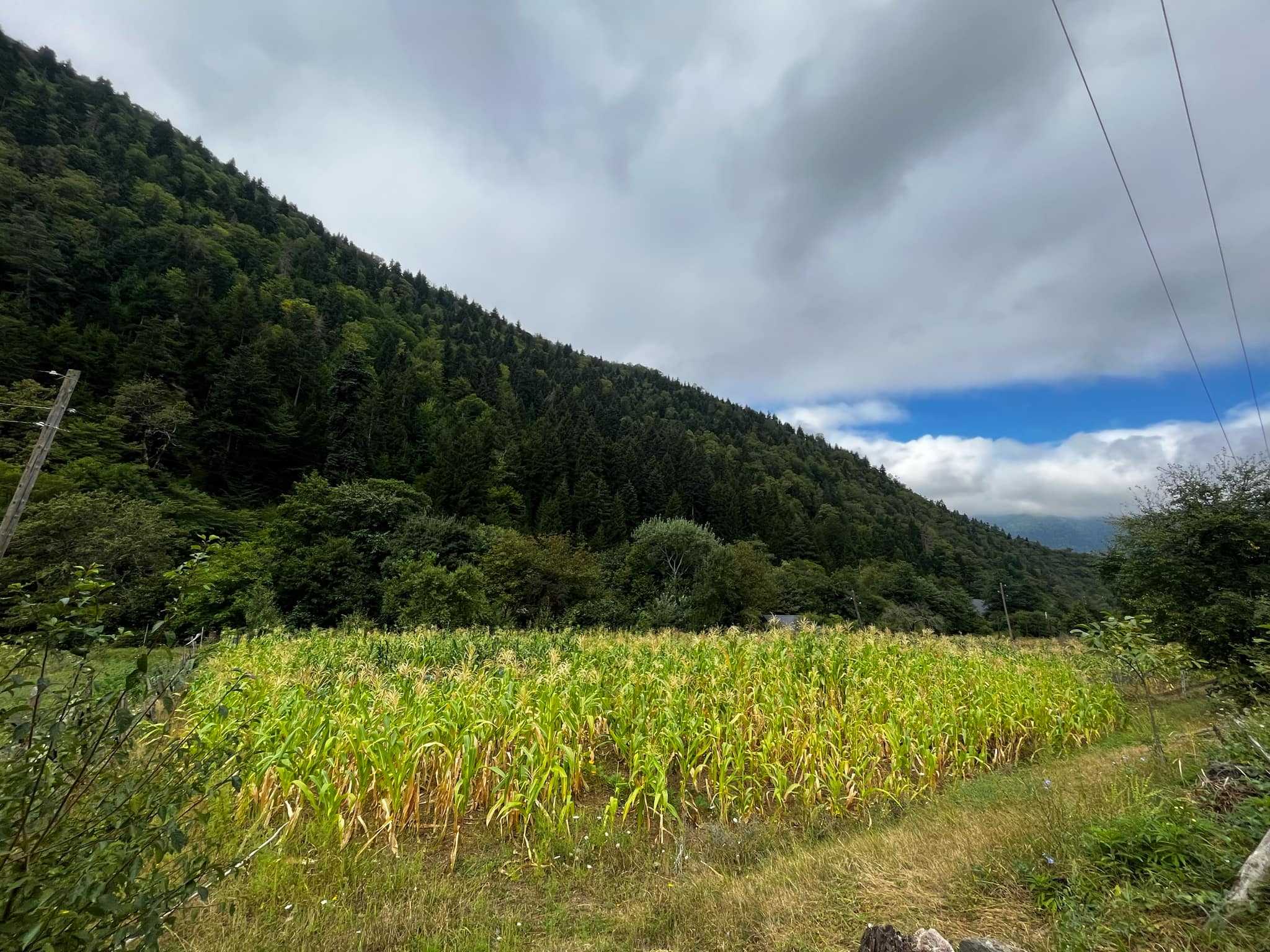 Land For Sale. Akhaldaba, 36000 30550005 ss.ge