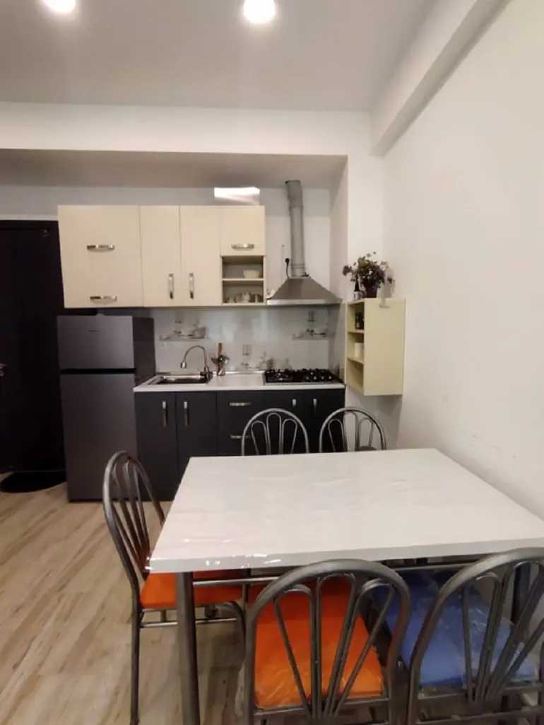 2 Room Flat For Rent. Bakuriani view 2